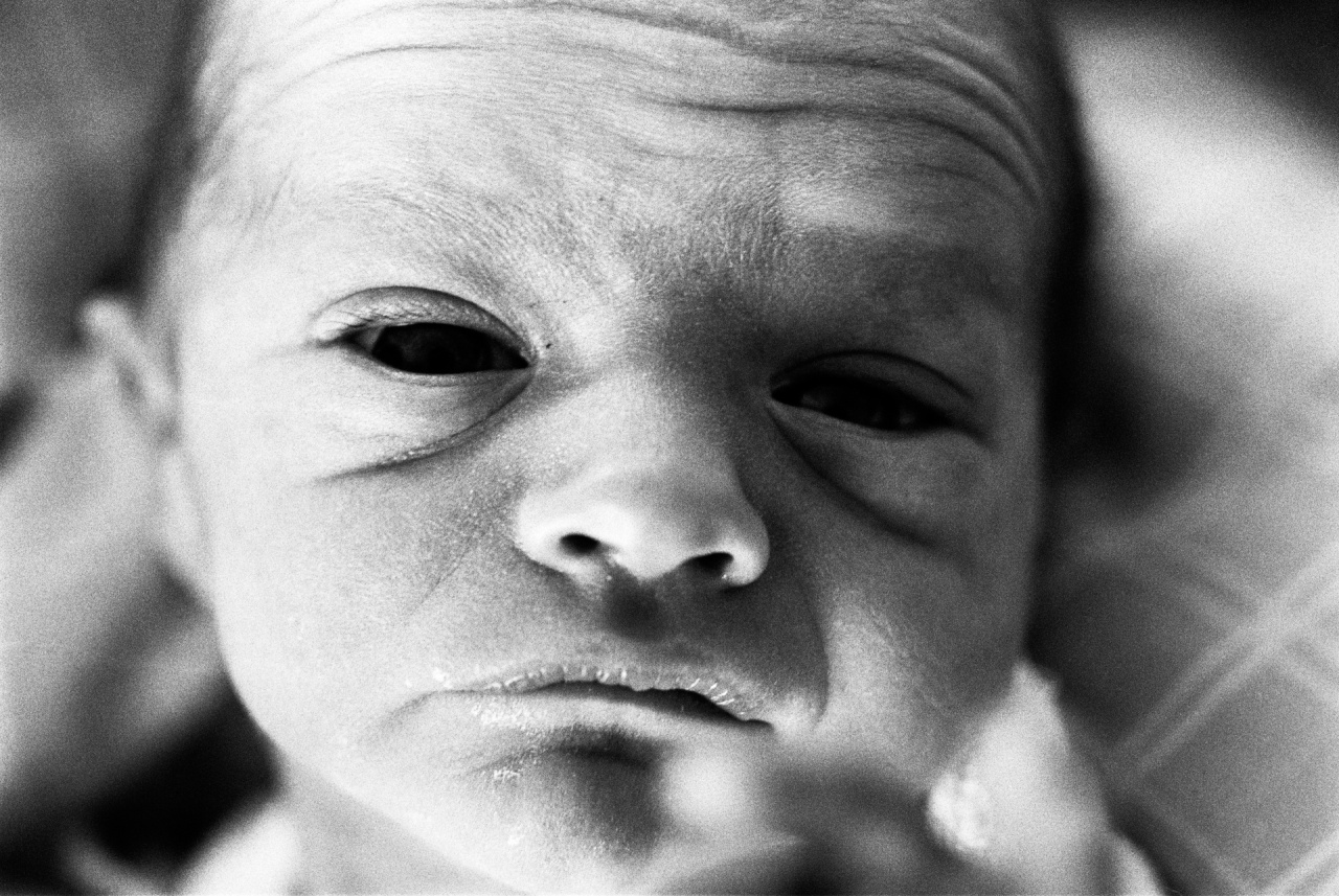 Neugeboren, 1988